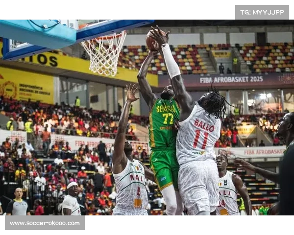 男篮非洲杯设施标准升级 国际篮联强制安装防眩光照明系统