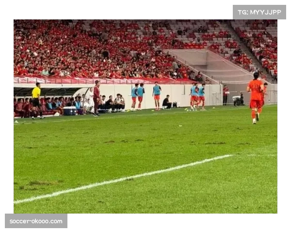 阿洛斯主场草皮质量欠佳技术型球队难展身手影响突尼斯乙级联赛表现